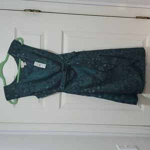 Ann Taylor Loft Dress